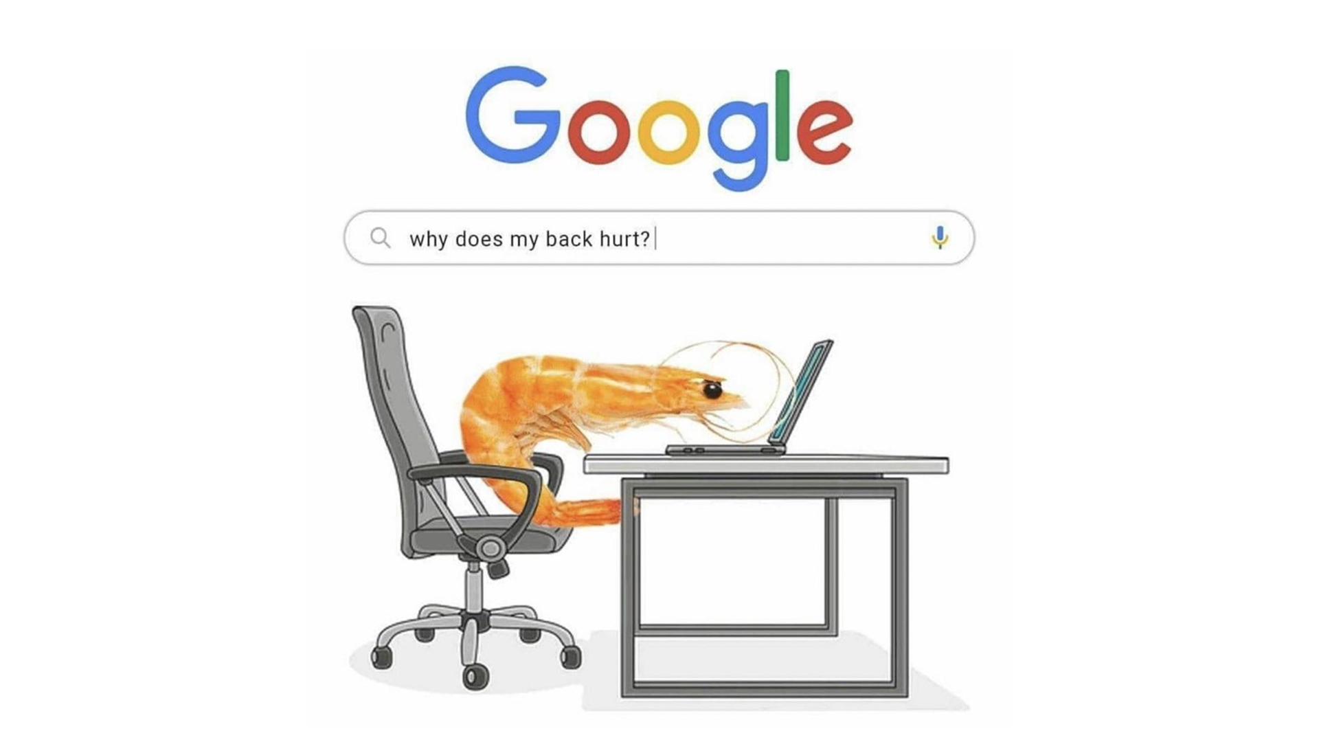 The posture-check shrimp meme