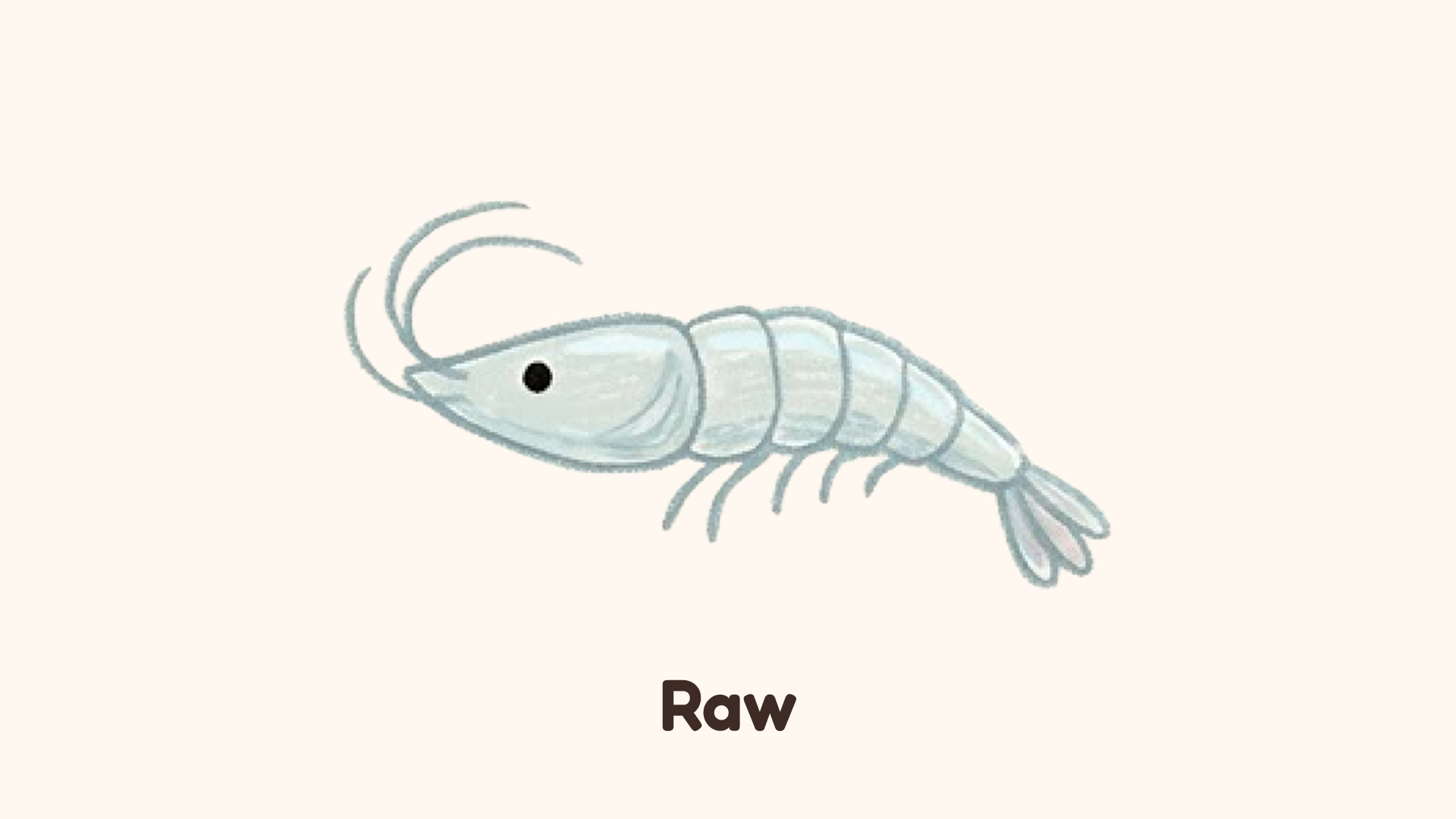 Raw shrimp — good posture
